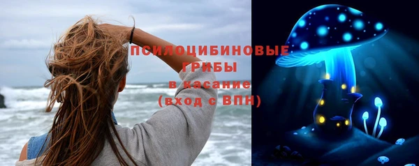 прущие грибы Алзамай