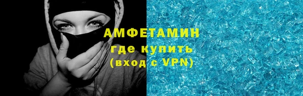 молекула духа Семилуки