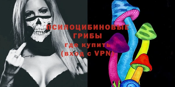 прущие грибы Алзамай