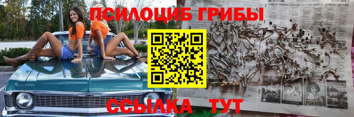 Псилоцибиновые грибы мицелий  Вход с VPN  Саранск 