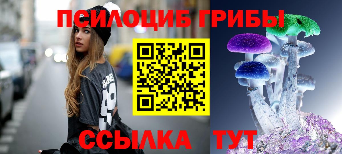 Псилоцибиновые грибы Cubensis Саранск