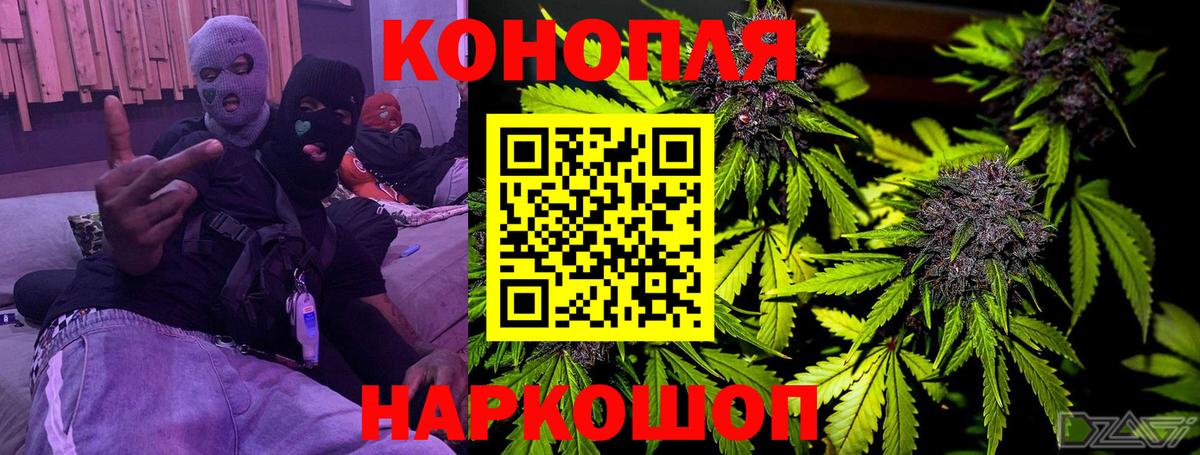 Бошки Шишки конопля Саранск